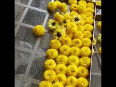 2300*1200*2000 مللي متر 2 رف فرن الهواء الساخن مجفف الفواكه أوراق الشاي آلة التجفيف