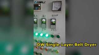 DW تجفيف الحزام بطبقة واحدة