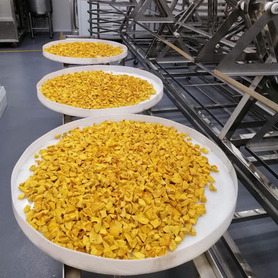 OEM ODM الصناعية بالميكروويف فراغ مجفف فرن تجفيف الأفوكادو الفاكهة الاستوائية