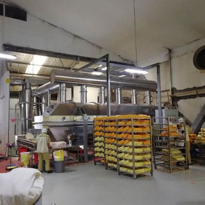 WKS Vibro Fluid Bed Dryer كبريتات الزنك Heptahydrate آلة تجفيف بيليه البولي بروبيلين