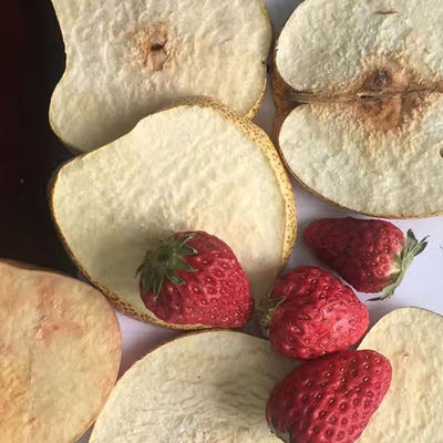 OEM ODM فراغ تجميد معدات التجفيف أغذية الحيوانات الأليفة الخضار والفواكه مجفف